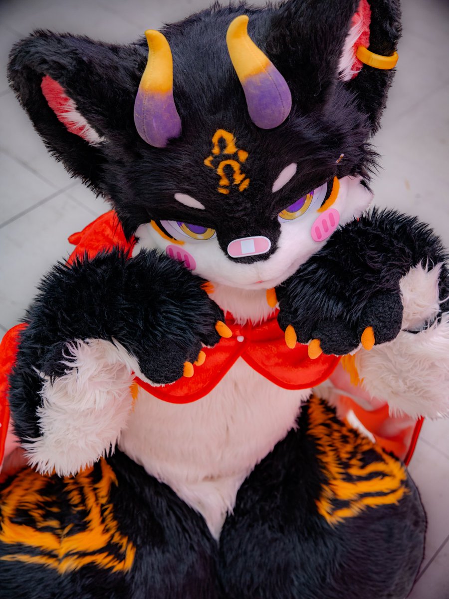 miyak7171's tweet photo. 야옹..!

#FursuitFriday #싱싱미얔_상태 https://t.co/zgT2GGkhf2