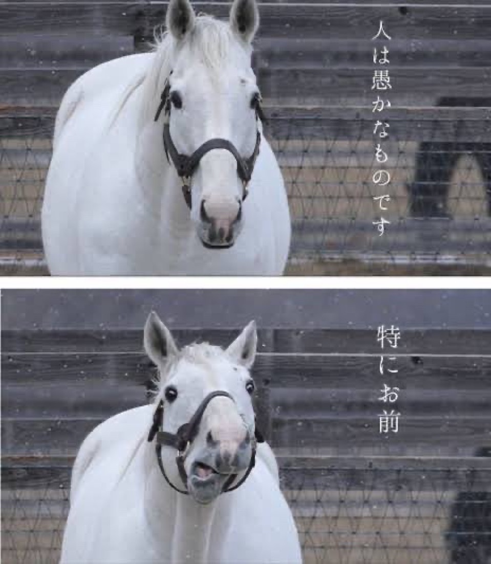 6sand6xinjie's tweet photo. https://t.co/xl9KAp681C
