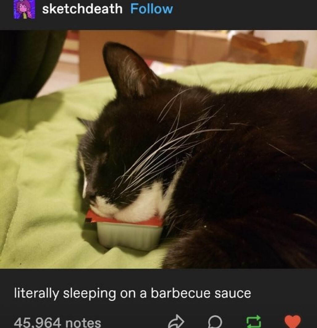 PunchingCat's tweet photo. https://t.co/jdb2dcEfrE
