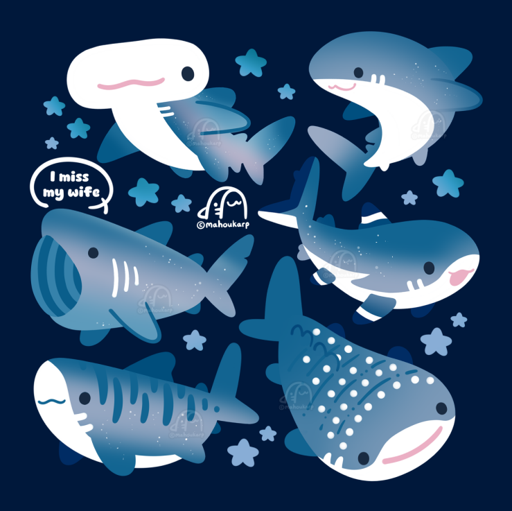 Mahoukarp's tweet photo. sharks 🦈 https://t.co/lrltDoFMNs