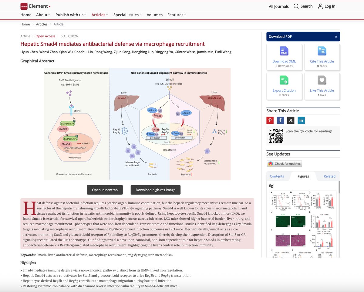 ElementJournalX's tweet photo. 🔥 New Research!

After 12 years of dedicated research, Prof. @fudi_wang  's team reveals a new mechanism of liver antibacterial defense in Element.

📖 Read for free:
 https://t.co/i8vXga5O6z

#Immunology #HostDefense #LiverImmunity
@PancPathologist @YMirzabeigi @LoweLabMSKCC https://t.co/qPe59WvmOO