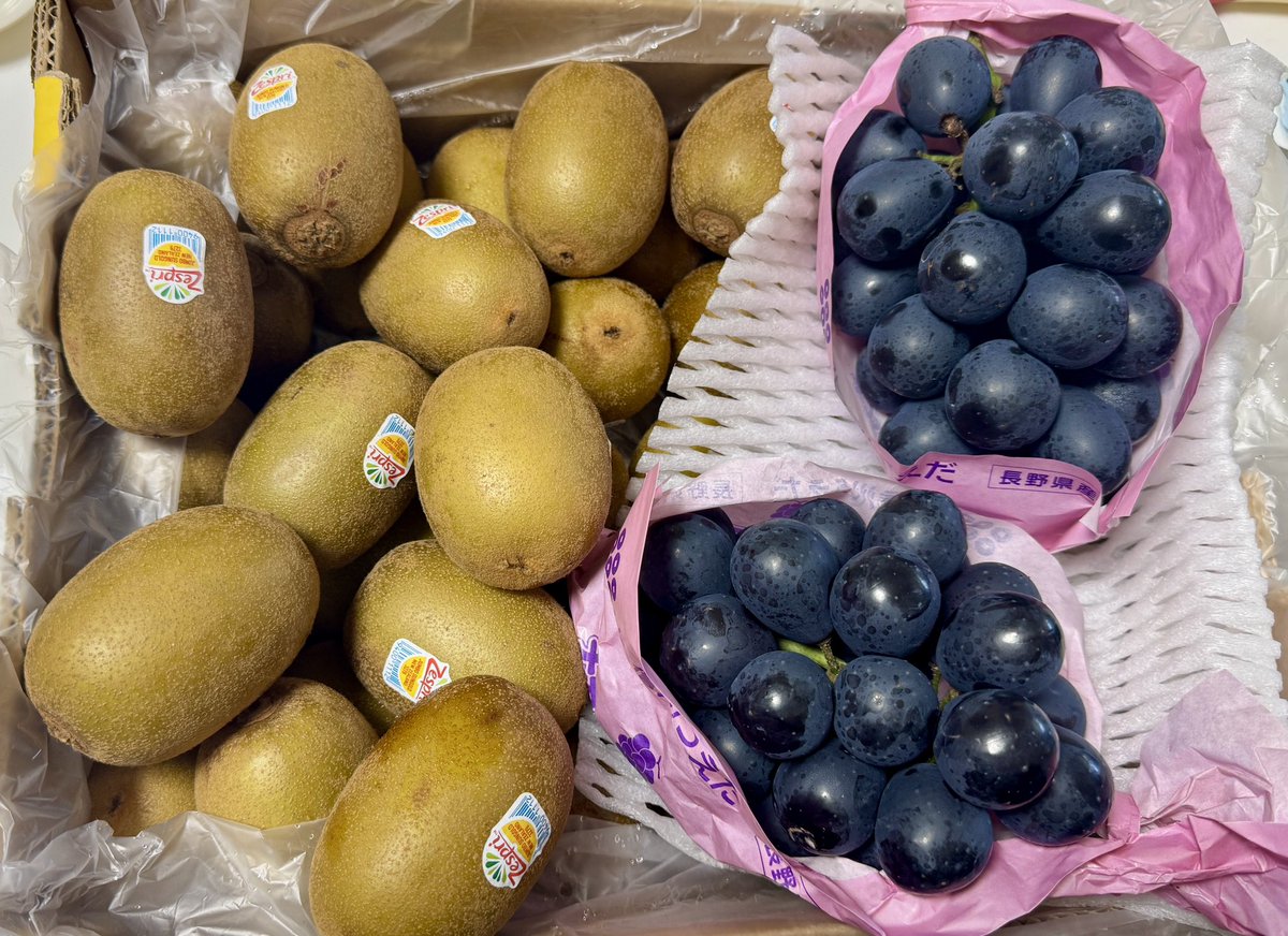 sweetimo_kaya's tweet photo. ☀☀☀🥝あぢゅい( ՞⌓°⎞🍇☀☀☀ https://t.co/tZWgcdwTrW