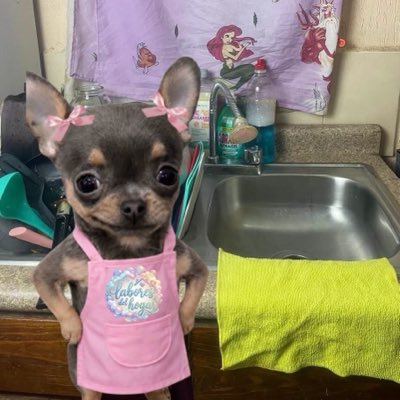 majocahe's tweet photo. #NewProfilePic https://t.co/XafVoj5OkN