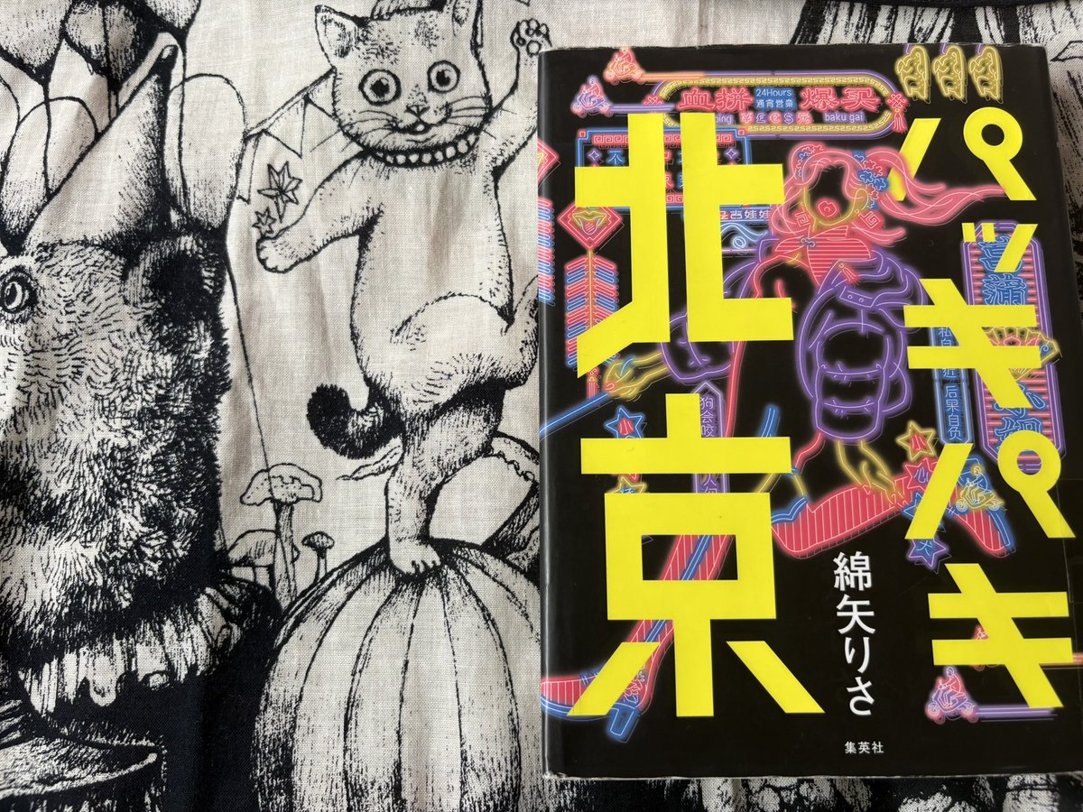 lobo_book's tweet photo. パッキパキ北京/綿矢りさ

メンタル強強元ホステス駐在妻の北京生活。主人公、正直ちょっと嫌な女。でもこんなふうに図太く生きられたら幸せそう。ポジティブさは見習いたい。

#読了 https://t.co/Nhf9tRDF1n