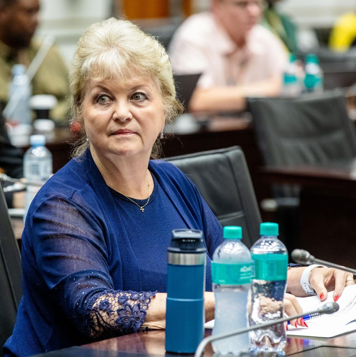AdvoBarryRoux's tweet photo. The DA is always quick to demand action when politicians from other parties are implicated in wrongdoing. But when it's one of their own, the excuses start. This is now the third DA member to be implicated: Ian Cameron, Tania Campbell and Dianne Kohler Barnard https://t.co/3JdwW3JEpL