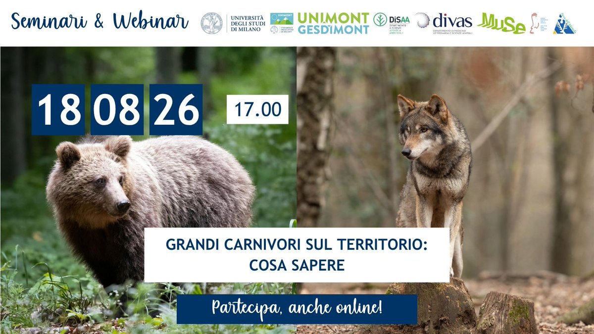 polo_unimont's tweet photo. 18 agosto ore 17:00 – Incontro “Grandi carnivori sul territorio: cosa sapere - Comportamenti da adottare, misure di prevenzione e cani da protezione del bestiame” presso il Polo UNIMONT e online.

Scopri di più: https://t.co/eZZqDU1AME 
@LaStatale @MUSE_Trento @disaa_press https://t.co/xKtFDUpckR