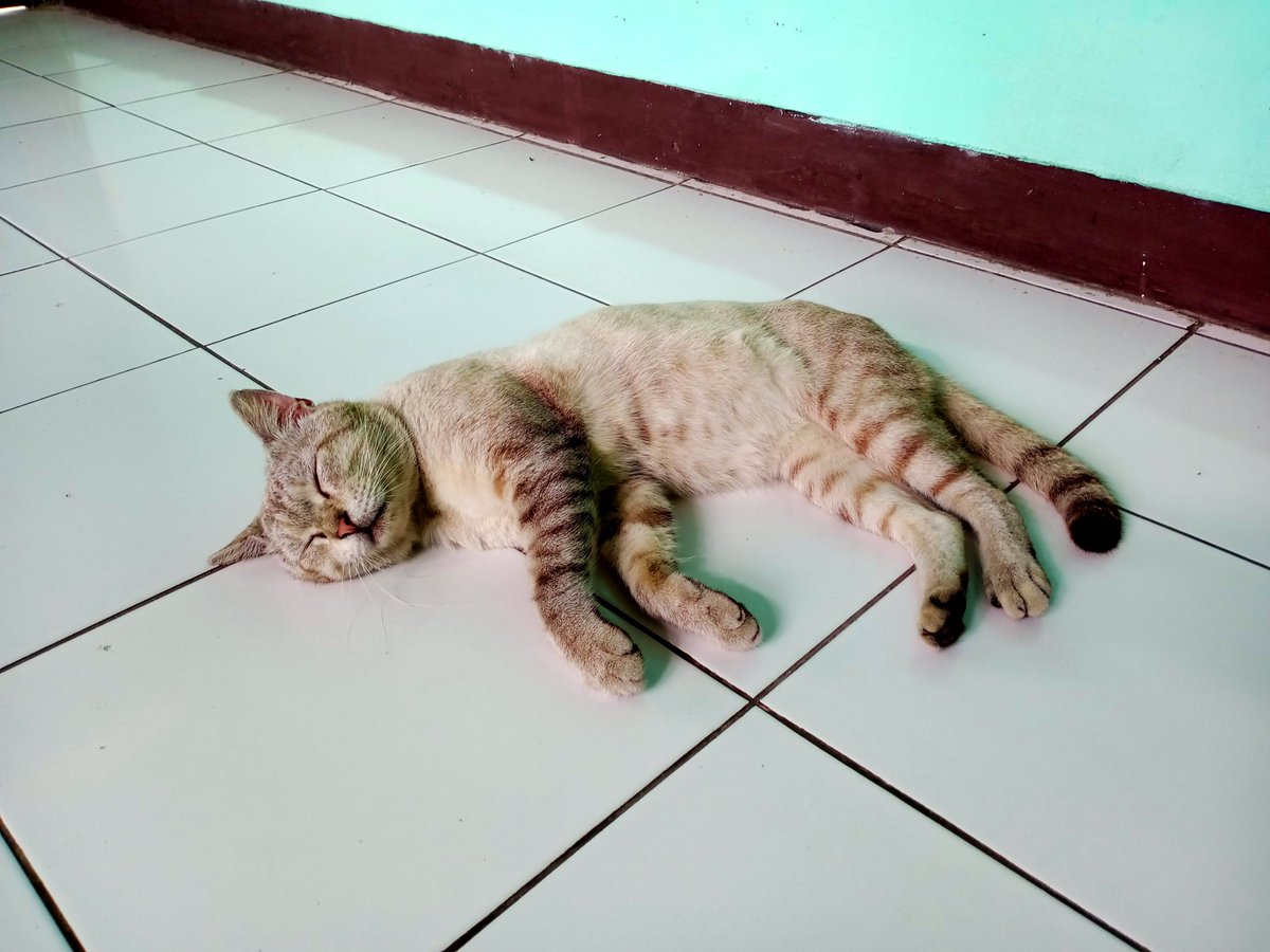 dinihaye's tweet photo. istirahat dulu, nanti lanjut pukul"an sama gan https://t.co/Gh5LotBwRG