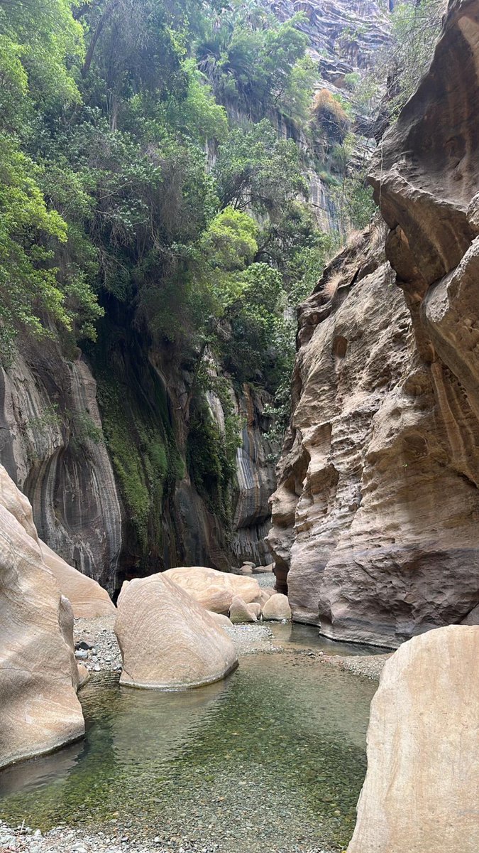 saudi_1ive's tweet photo. 🌅 وادي لجب بمحافظة الريث بمنطقة جازان..

Wadi Lajab in Al Rayth Governorate, Jazan Region https://t.co/HbXOdhfc93