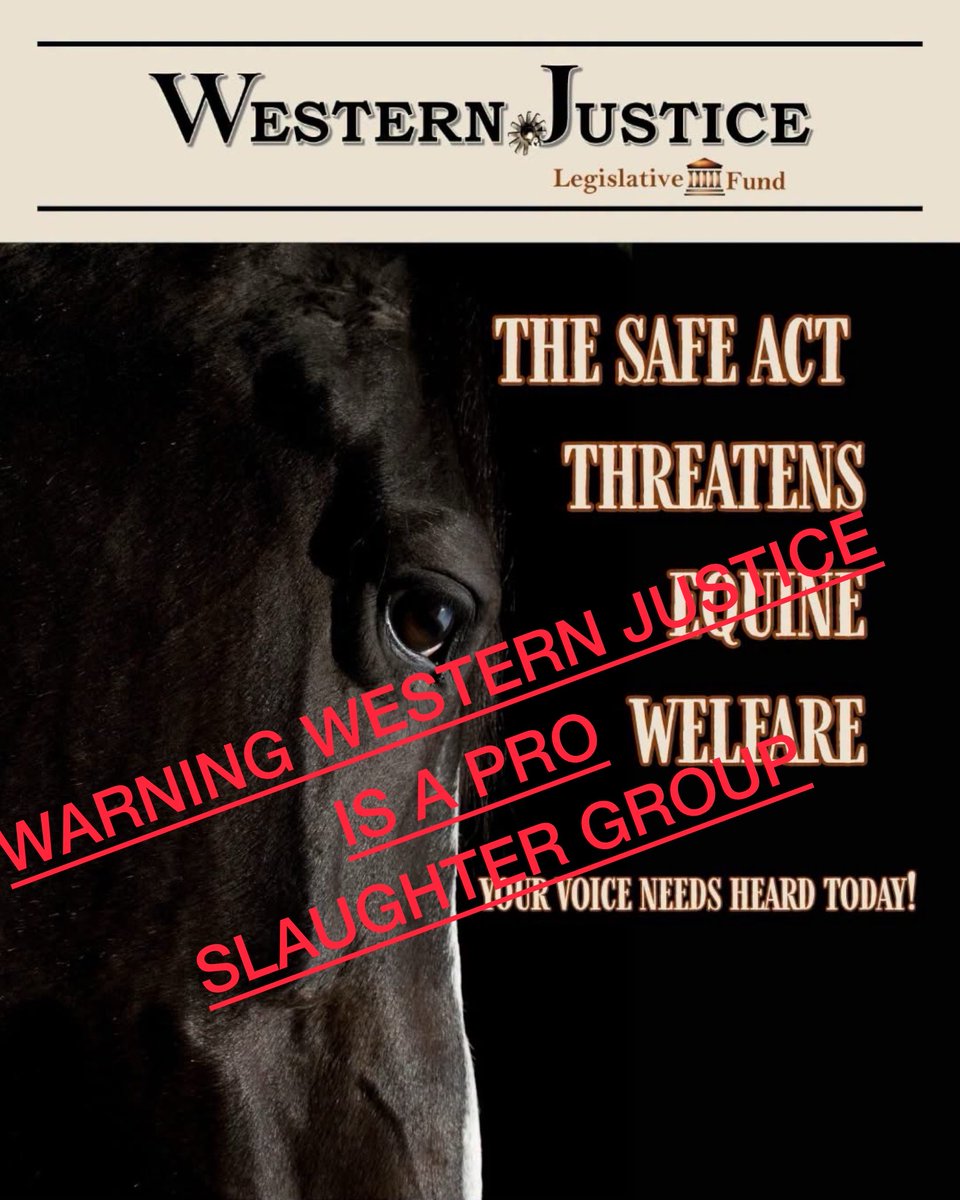 HorsesInOurHand's tweet photo. 🚨 Western Justice is urging Americans to OPPOSE the SAFE Act—legislation that would end the slaughter pipeline for American horses.

They’re worried about haulers &amp; inspections. We’re worried about the HORSES shipped across our borders to slaughter.

🇺🇸PASS THE SAFE ACT #SAFEAct https://t.co/fbkMQphnPR