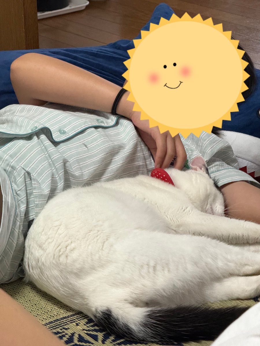 Shiobuki_Asuka's tweet photo. 寄り添ってる(*˘︶˘*).｡.:*♡ https://t.co/zGW7w1H1kH