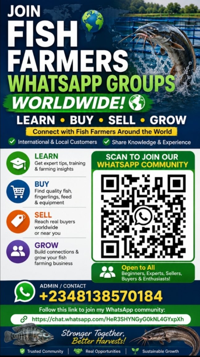 catfishfarmin's tweet photo. @NigeriaStories Join our global Fish Farmers WhatsApp Community! Learn modern fish farming, buy &amp; sell fish, fingerlings, feed, and equipment, and connect with farmers worldwide.
🔗 Join now: https://t.co/j4uqtx5V3h⁠�
#FishFarming #Aquaculture #Catfish #FishFarmers #Agriculture #AgriBusiness https://t.co/3RMDijT8Ng
