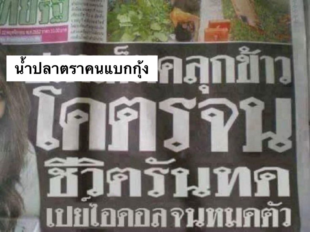 pploy_nari's tweet photo. ชีวิตป้าโอ๋ช่วงนี้ be like ;

#KengNamping #เก่งน้ำปิง https://t.co/KWD83nVnkq