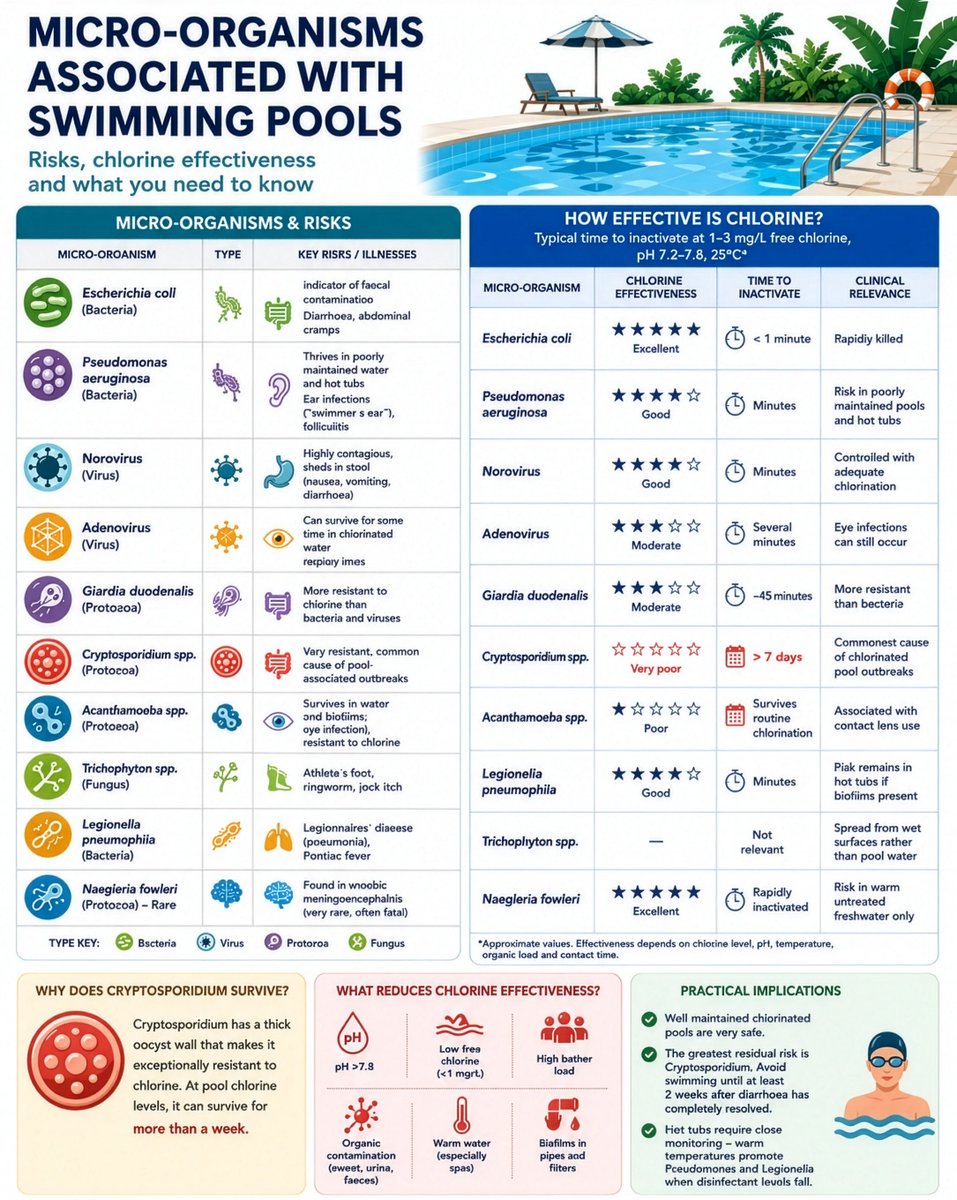 drkeithsiau's tweet photo. A quick run down of infections associated with swimming pools and the effectiveness of chlorine as a disinfectant 🦠💡 https://t.co/mjSB1kPfMc