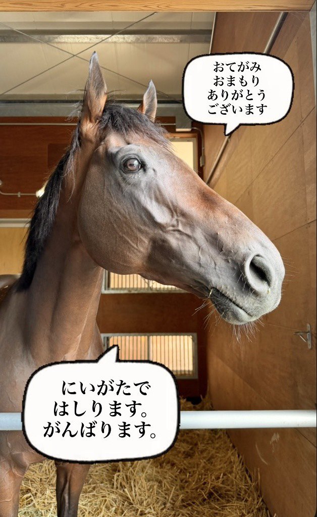 AcylLSJsFD55673's tweet photo. #おマル
#おまる
#オマル https://t.co/aAxBibhF3e