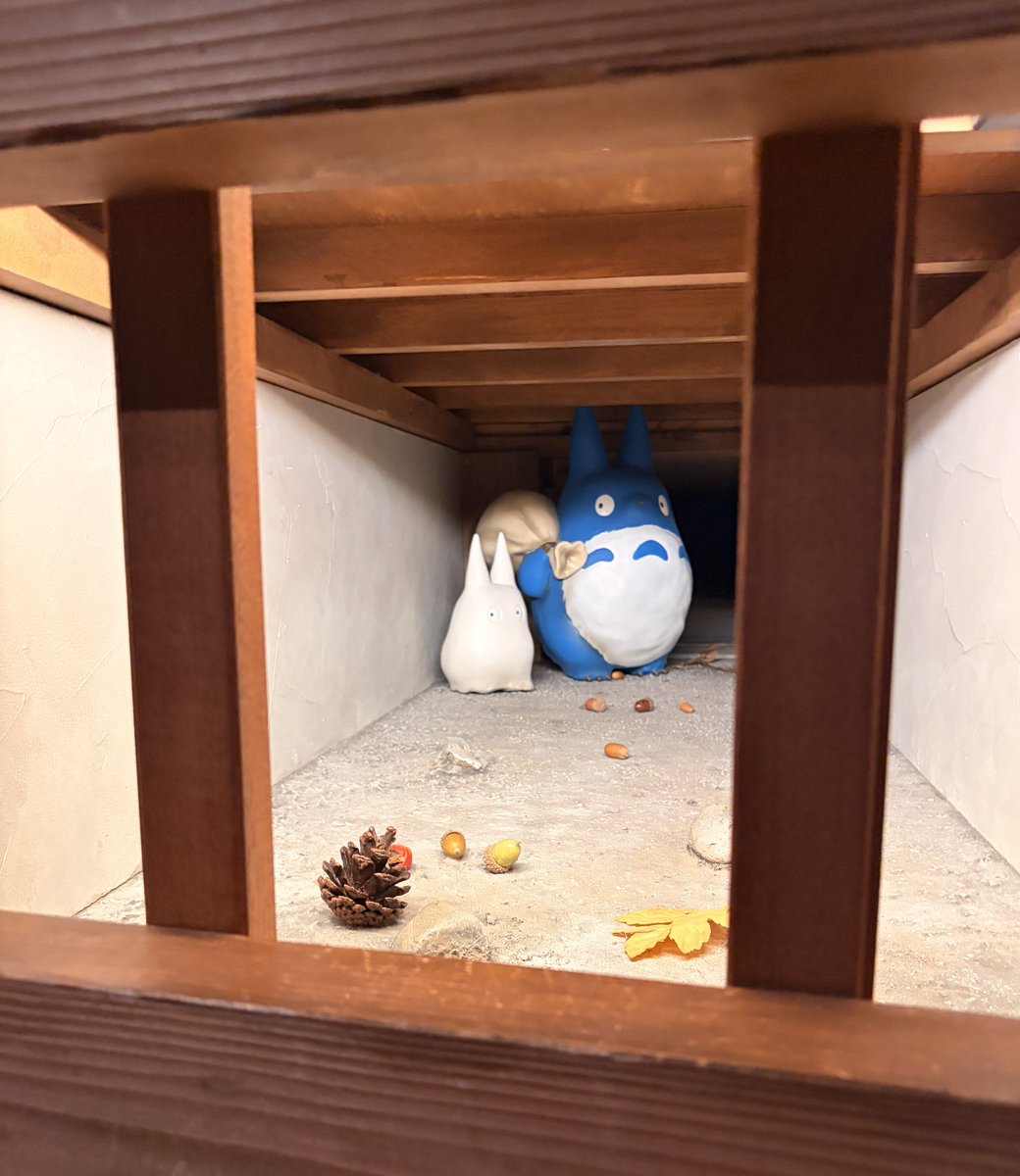 ghiblipark_exh's tweet photo. どこにいるか探してみてください🌱 https://t.co/pF9jTTCt7k