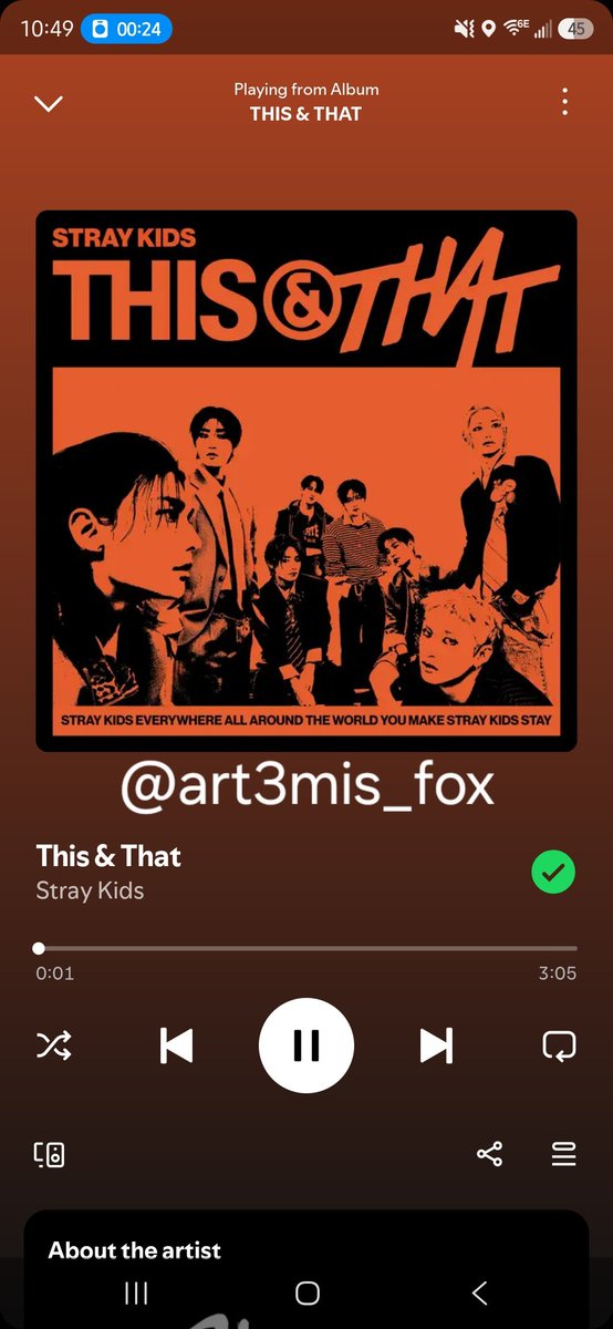 art3mis_fox's tweet photo. #StrayKids #스트레이키즈 #THIS_AND_THAT #This_and_That_BurningTime https://t.co/IaFbIJrRwq