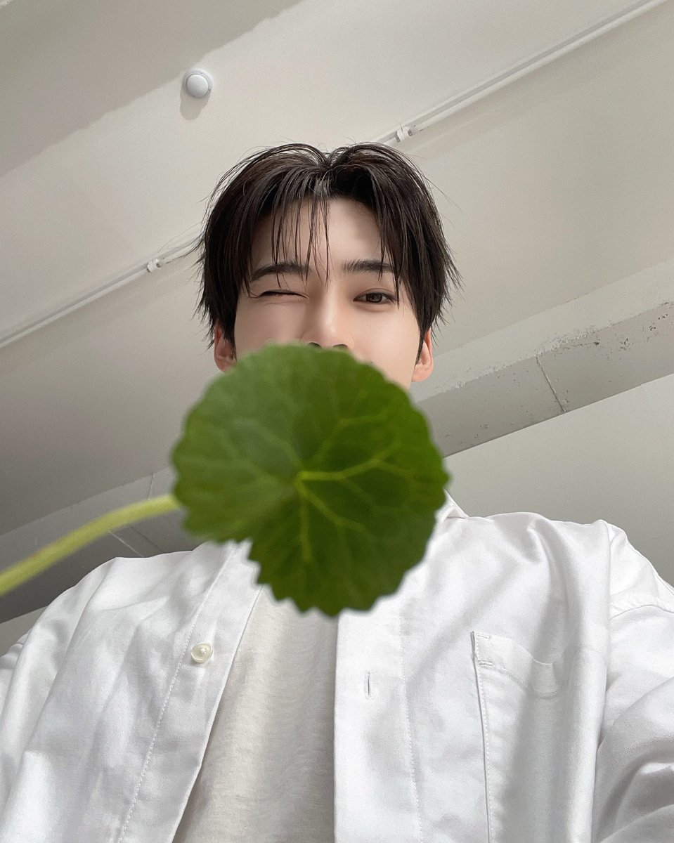 Khbeeen's tweet photo. #햄냥감성 https://t.co/r95Gd18xiN