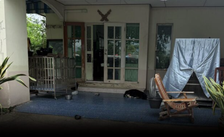 Mr_Whathapened's tweet photo. ช็อก! บ้านเด็กม.2 กราดยิง เจออีก 2 ศพ เผย เป็นปู่ย่าผู้ก่อเหตุ

ล่าสุดผู้สื่อข่าวรายงานว่า เจ้าหน้าที่ได้รุดไปยังบ้านพักหมู่ร่มเงาไม้ ซอยวัดลาดปลาดุก ต.บางคูรัต อ.บางบัวทอง จ.นนทบุรี ซึ่งเป็นบ้านของผู้ก่อเหตุ ก่อนพบศพผู้เสียชีวิต เพิ่มเติม อีก 2 ศพ เป็นปู่ ย่า ของผู้ก่อเหตุที่โดนยิงเสียชีวิต 

โดยพบศพปู่ถูกยิงในห้องครัว ขณะที่ย่านอนเสียชีวิตในห้องนอน ที่บ้านพักหมู่ร่มเงาไม้ ซอยวัดลาดปลาดุก ต.บางคูรัต อ.บางบัวทอง จ.นนทบุรี เบื้องต้นสันนิษฐานว่า นักเรียกชั้นม.2ผู้ก่อเหตุ ได้ยิงปู่ย่า ก่อนก่อเหตุที่โรงเรียนเทพศิรินทร์ นนทบุรี

มติชน  #กราดยิง