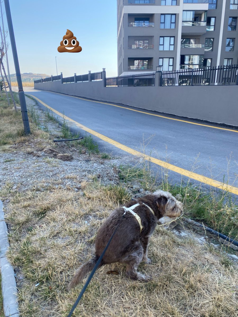 moniminnak's tweet photo. İşte aşık olduğum manzaram..🫠 Sana da günaydın yaşamak jsjsjs https://t.co/TJq2II6Z26