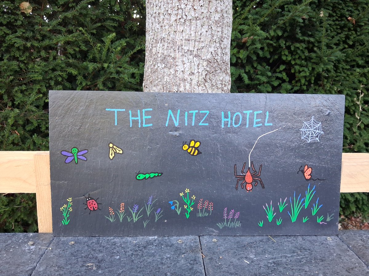 rickblackman01's tweet photo. I knocked up a bug hotel out of pallets and slates for the grounds of a care home (I have the garden maintenance contract). Got the residents involved collecting fir cones, bark and twigs etc. I struggled with a name for it but I'm fairly happy with this one. #Nature #BugHotel https://t.co/QgglbZUDzf