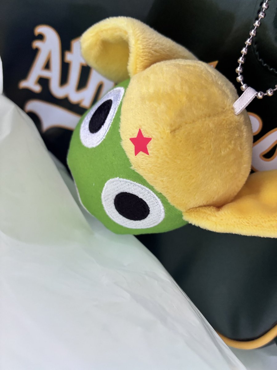 QjW4pilKNM68467's tweet photo. 今日の収穫💕💕💕でかい方は弟が取ってくれた https://t.co/pJv2lEA28X