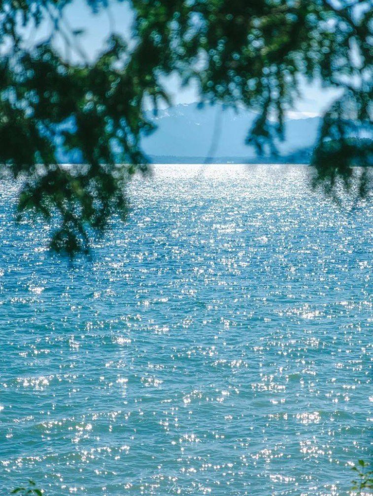 _Naturaee's tweet photo. Shades of blue https://t.co/GRxlLvfL79