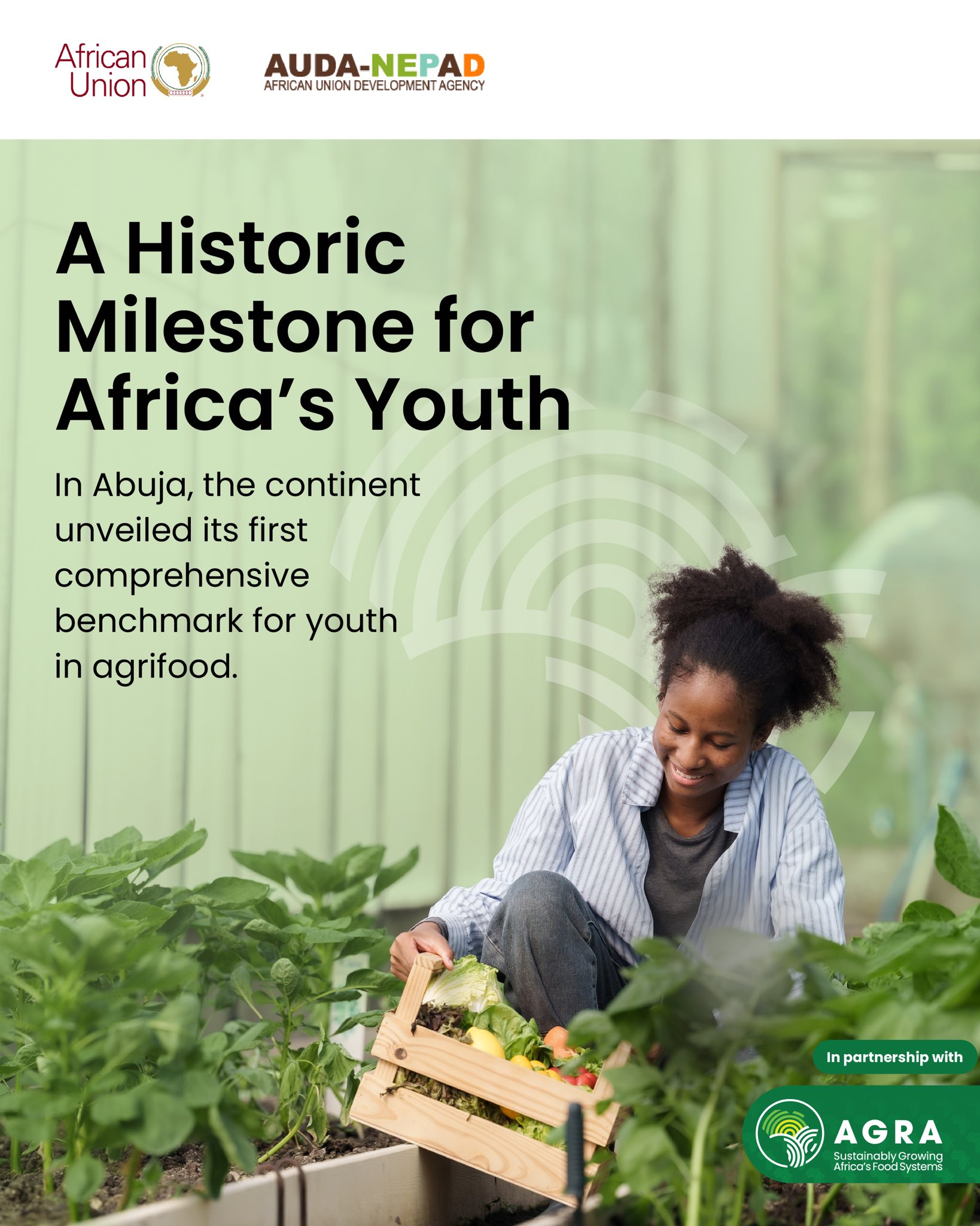 Introducing the Youth in Agrifood Systems Performance Index (YAPI) - News Directory 3