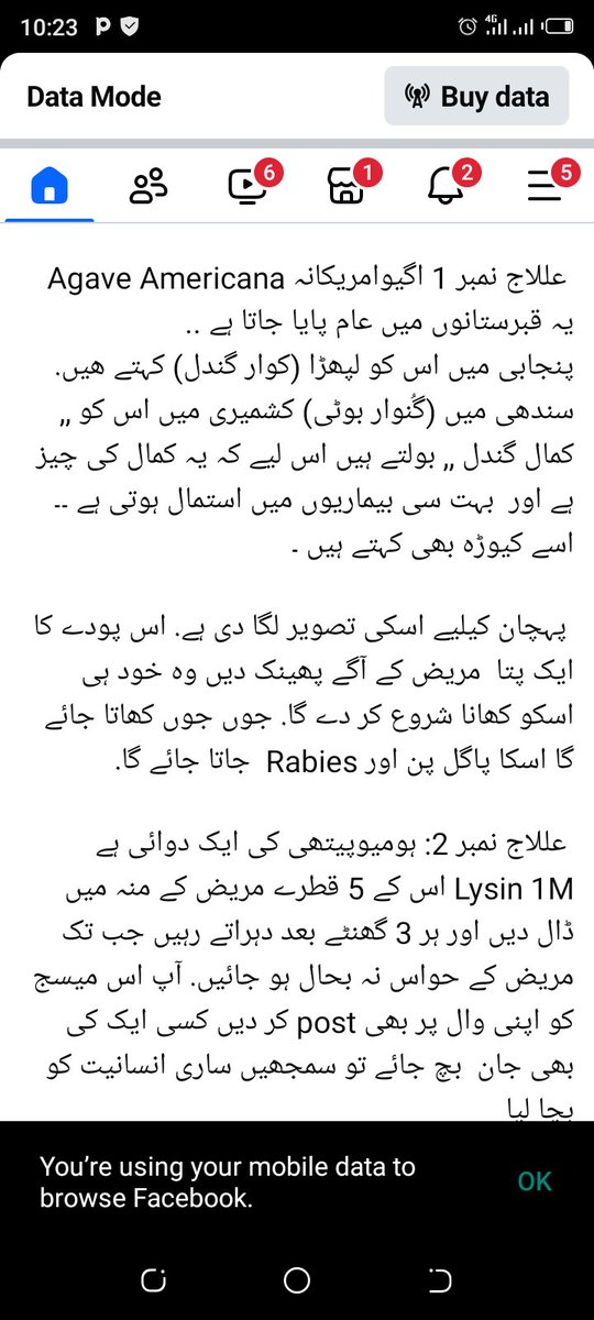 imabidh's tweet photo. ویسے تو سنا ہے کہ اسکا کوئی علاج نہیں ہے مگر ایک پوسٹ میں یہ علاج پڑھا تھا تو سوچا شئیر کر دوں۔ باقی اللہ تعالیٰ ہر چیز پر قادر ہے کسی کو بھی کسی چیز سے شفاء مل جائے وہ ہر چیز پر قادر ہے https://t.co/GQiusKDETD