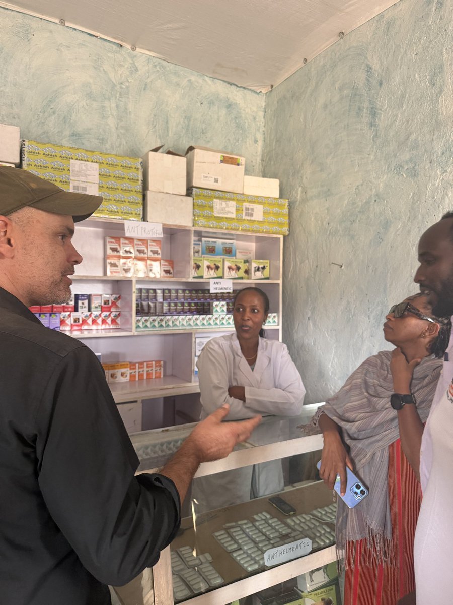 SwissEmbassyKE's tweet photo. What makes livestock systems effective? Govt. leadership, private sector investment and community ownership. These were takeaways from 🇨🇭 ‘s mission to 🇪🇹’s Moyale corridor, where the Regional Livestock Program is helping strengthen livestock markets &amp; pastoral livelihoods 🐮 https://t.co/LjQoAHLHgH