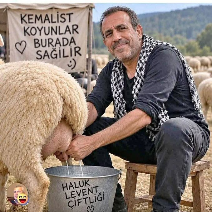 dis_timu's tweet photo. 🤣🤣🤣🤣🤣🤣🤣🤣🤣 https://t.co/G7A1y49VvG