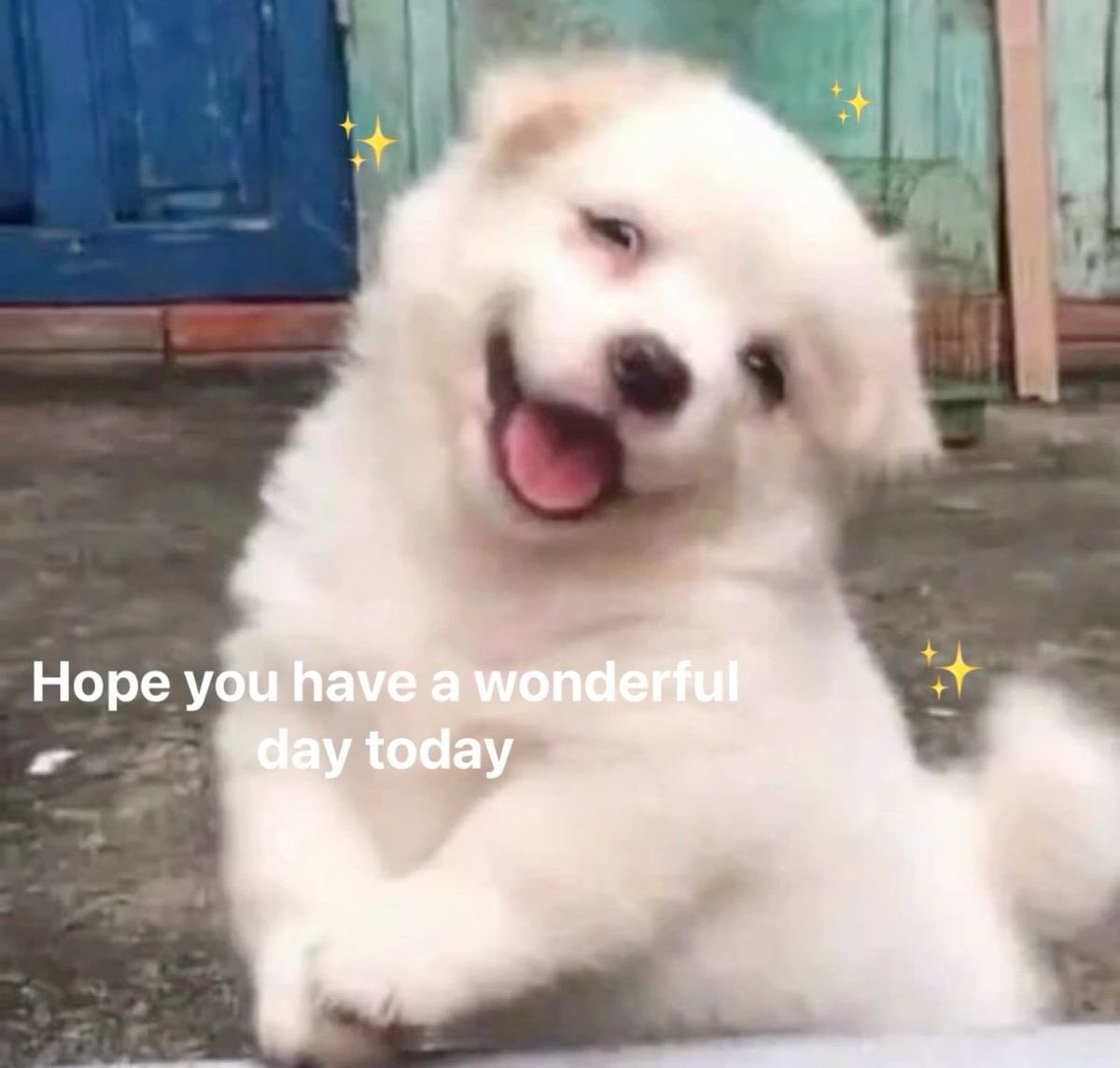 tamuJCY's tweet photo. @elycseen 🥰🥰😘😘😘 https://t.co/tX1i2IJ4tr