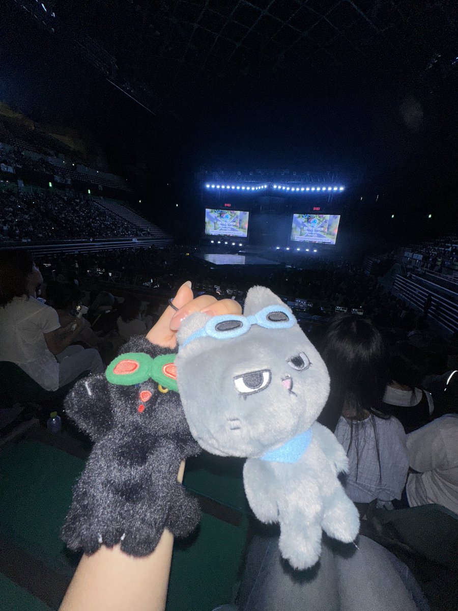 telhkrr's tweet photo. 고양이두마리들고콘서트보러갔는데.  아무도뭐라안함 https://t.co/SyzzszTypD