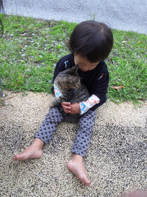 hosshiyan's tweet photo. 2011年12月10日。とある公園で、骨折した後ろ脚を引きずって近づいてきた仔猫を、当時2歳の長男が抱っこして「つれてかえってあげたい」と泣いている写真。

この時から15年。"ガナシー"と長男が名付けた愛猫が、僕の誕生日があと30数分に迫った2026年8月5日の夜11時28分過ぎ、天国へ旅立ちました。鼻炎と腎臓病を患って、懸命に闘病した末の旅立ちでした。

最期は、心配して隣で寝ていた長女を「カカ、カ」と喉を鳴らして起こし、すぐに息を引き取りました。
長女とは9年、長男は15年の生活でした。

長女はもちろん、思春期真っ只中の長男も、固くなっていく体を「ガナシーありがとね。頑張ったね」とずっと撫でながら、静かに涙を流していました。
長男にとっては弟で、長女にとってはお兄ちゃん。

かけがえのない家族を亡くした大きな悲しみと喪失感の中、残された家族は今日も懸命に生きてます。
「もうすぐお盆で、天国に行って、また戻ってくるのめんどくさいから、まだ家にいると思うよ」と言った娘の言葉にほんの少し和みました。

ガナシーはほんとに賢くて強い猫でした。ほんとによく頑張りました。ありがとう。また、いつか。
