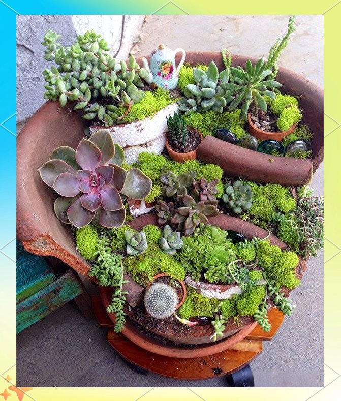MiriamMartemac's tweet photo. Turn an old glass jar into a cute succulent planter in 5 mins! No fancy supplies needed  #UpcycleIdeas https://t.co/NpfuCXSFxE