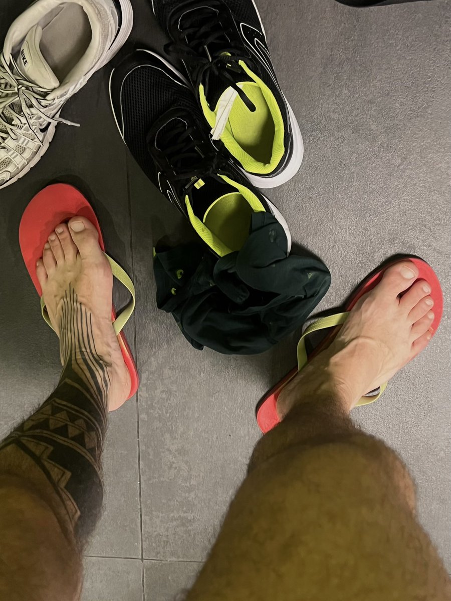 alessmatz's tweet photo. ultimo allenamento prima delle ferie, pronto a buttare via tutti i progressi fatti 🐖 https://t.co/nV7vJB9Zri