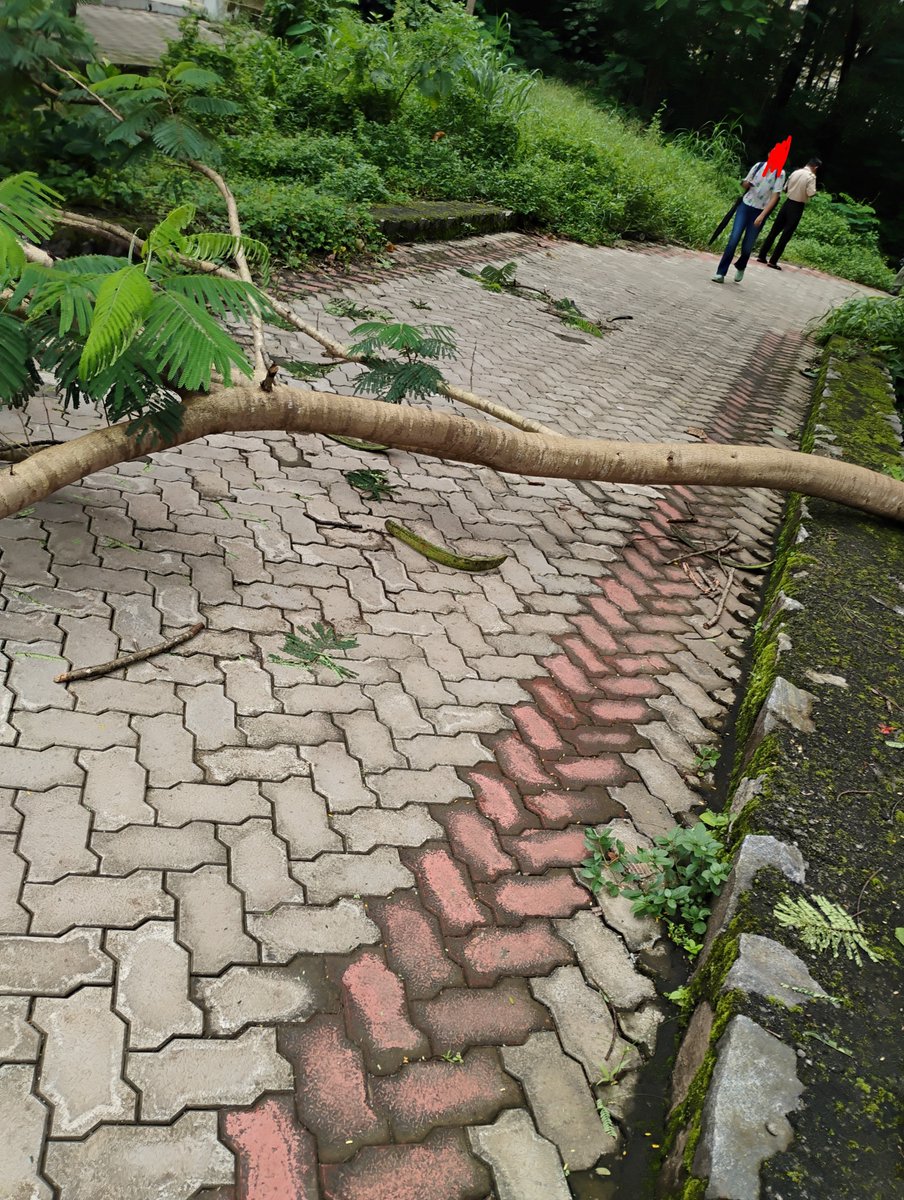 yKalyKal's tweet photo. This Temple Run ass obstacle https://t.co/zZDT5Os16N
