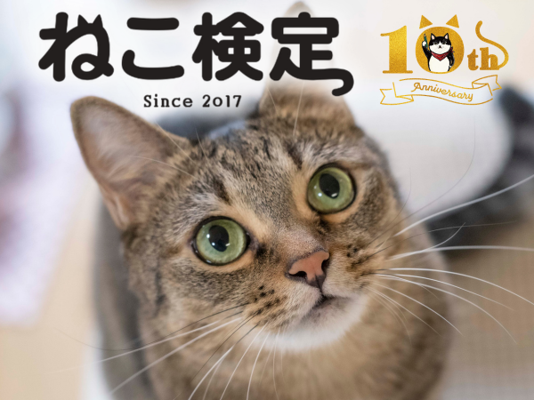 nekokentei's tweet photo. ╭━━━━━━━━━━━━━╮
　　8/8『世界猫の日』より
「第10回ねこ検定」申込受付開始🌟
╰━━━━━━ｖ━━━━━━╯
本日は『#世界猫の日』 
そして 「第10回ねこ検定」の申込受付開始日です！

今回はねこ検定10周年を記念して、
9/29までのお申込で受験料がおトクになるほか、
今回だけの限定特典をたくさん用意しました！！
ぜひチェックしてください👀
世界中の猫の幸せを祈りながら。

詳細はねこ検定公式HPまで
■ねこ検定公式サイト：https://t.co/jA72y270rG

#世界猫の日 #ねこ検定 #猫検定 #猫のいる暮らし #猫

photo by @yuzu_natsu_love