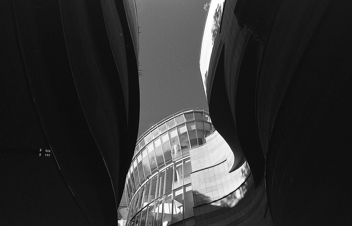 KkmmmGurkha's tweet photo. 蒼空
Canon T90 (TANK)
New FD 24-35mm F3.5L
FOMAPAN 100
COMPARD R09One shot(Rodinal)22°9分
#自家現像 #写真 #photography #フィルム #LABBOX https://t.co/CyICfPZyUT
