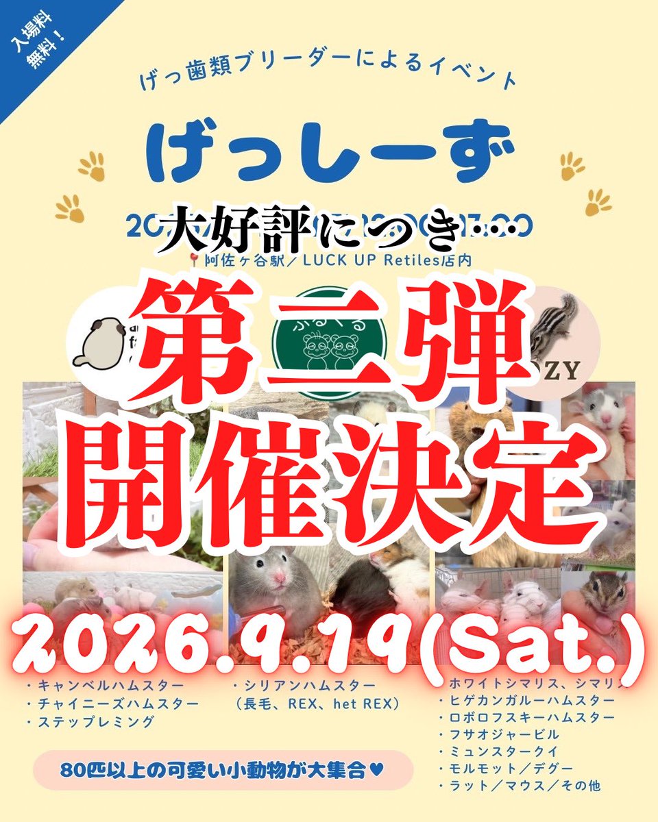 frucle86's tweet photo. げっしーず第2段❣️
9/19(土)12:00-17:00で開催決定✨
前回同様(@animal_coco )さん(@COZY24475402 )さんとワイワイしますよー🌻
みなさまお楽しみに…！！
#ふるくる #げっしーず #シリアンハムスター #齧歯類 https://t.co/1Pk9ndYl7b