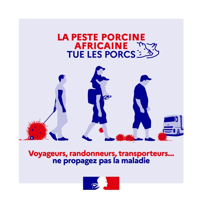 Prévention de la peste porcine africaine en France