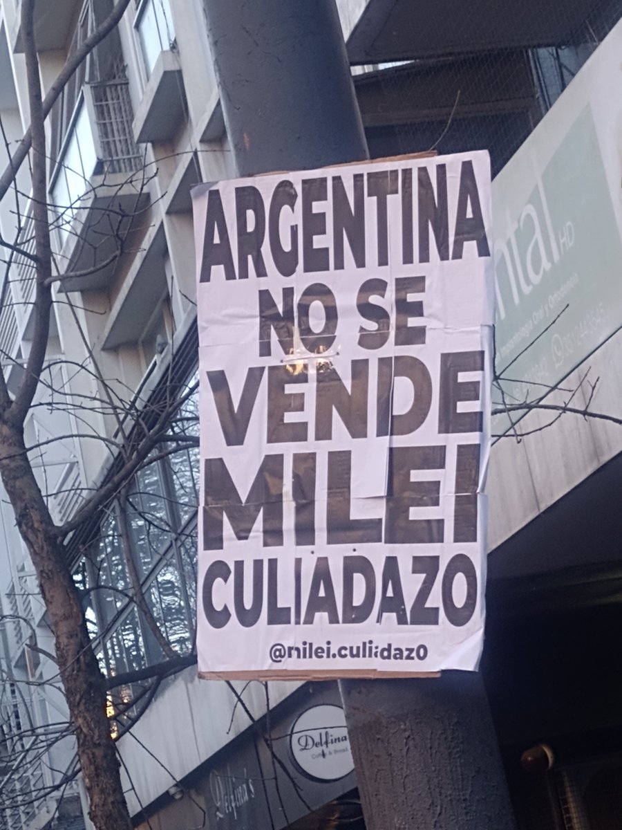 lucashabla's tweet photo. Peluca, desde Córdoba con amor... 💚🔥💪🏿✊🏿🤭 https://t.co/N1z3HYFcCj