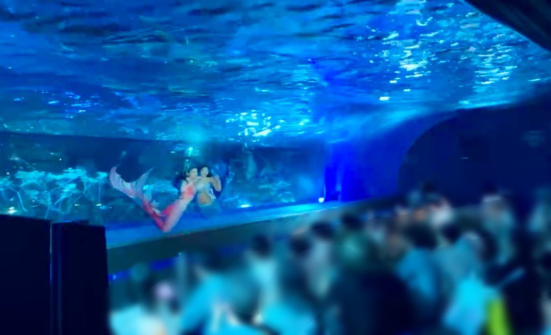 ShellinaMermaid's tweet photo. サンシャイン水族館 ナイトマーメイドショーを見に来てくださったみなさま
本当にありがとうございます🥹✨

今日8/7(金)はマーメイド魚音と出演でした💕
明日8/8(土)はマーメイドハリーと
出演します🧜‍♀️ https://t.co/8JQWcCf0Lo