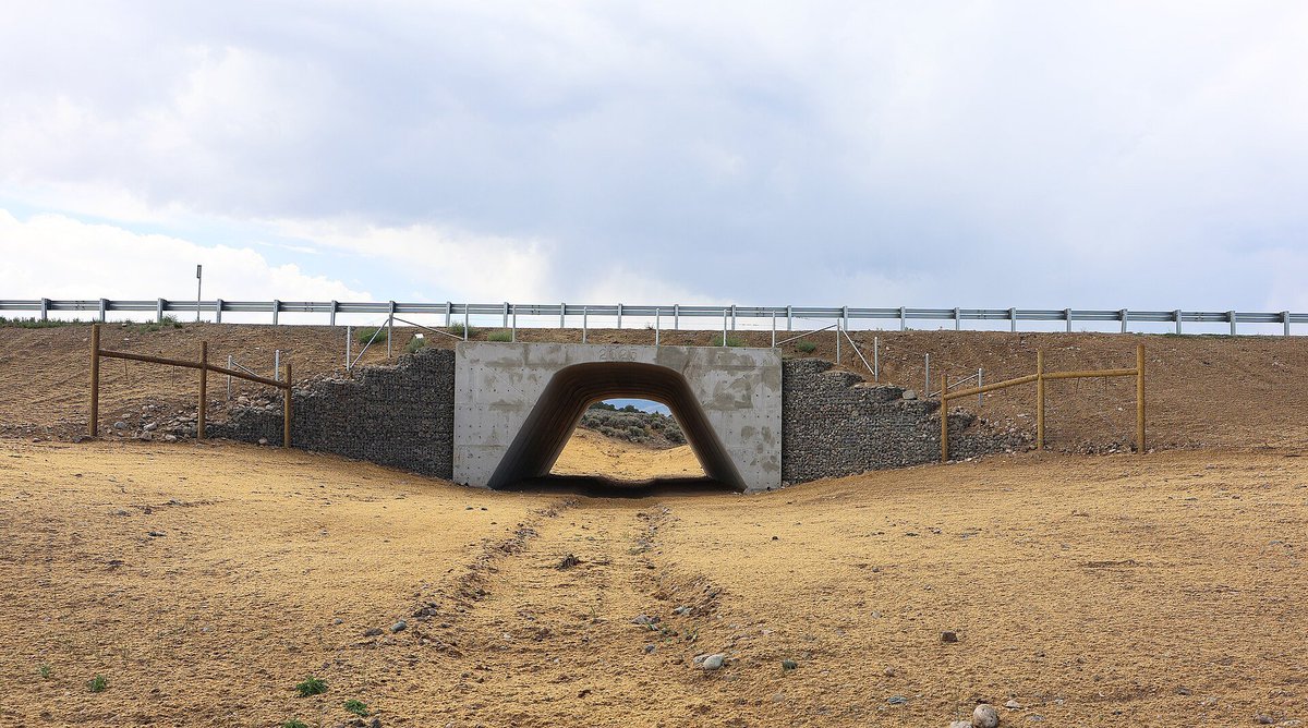 Jeffrey_Beall's tweet photo. Wildlife underpass in Costilla County, Colorado along U.S. Highway 160. https://t.co/1oGANl6gq2