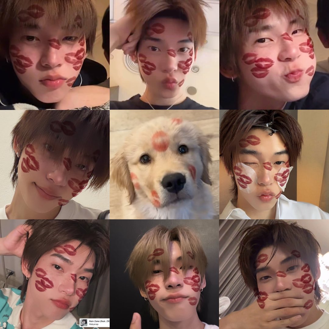 twnppta's tweet photo. kisses puppy https://t.co/F9YooRm3DL