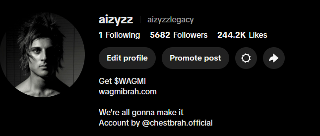 wagmibrahsol's tweet photo. It's time.

TikTok profile has just been updated https://t.co/YNCWBZ3GFj