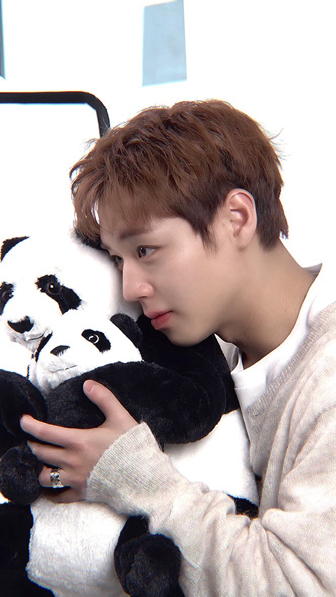 dolmiidoll's tweet photo. 𝘙𝘌:𝘍𝘓𝘌𝘊𝘛 𝘍𝘢𝘯 𝘊𝘰𝘯𝘤𝘦𝘳𝘵 𝘝𝘊𝘙 𝘣𝘦𝘩𝘪𝘯𝘥 - 𝘦𝘥𝘪𝘵 ｡𖦹°‧

#박지훈 #PARKJIHOON https://t.co/IaJcvdYlg4