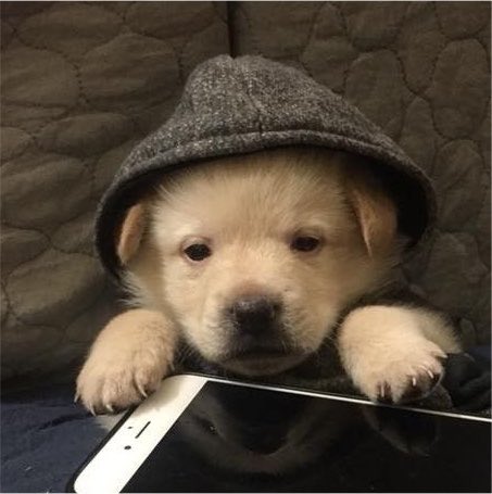trynabap's tweet photo. https://t.co/EklAsP4fAu