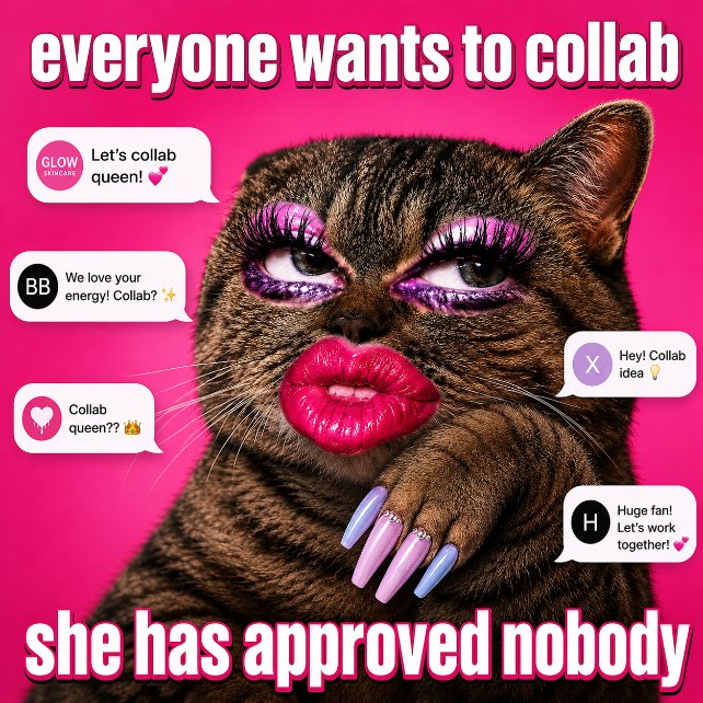 TheQweenCat's tweet photo. everyone wants to collab

she has approved nobody https://t.co/00cmzwpq7X