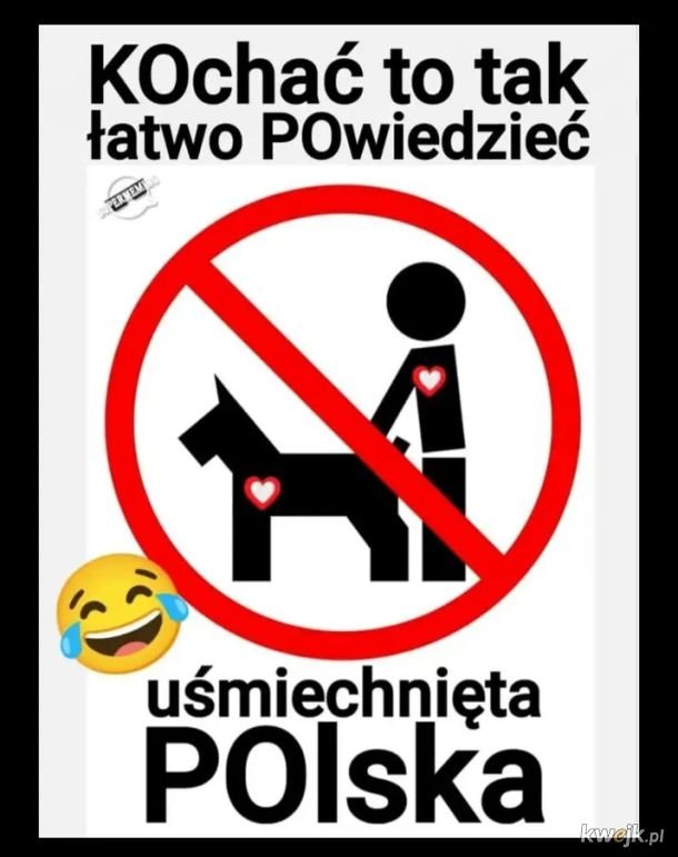 SebaKarton's tweet photo. @Fixius1211 @jack__sparrow5 Lewaki porównują dzieci do psów z wiadomych powodów 🤣 https://t.co/vg3tvtYqOA