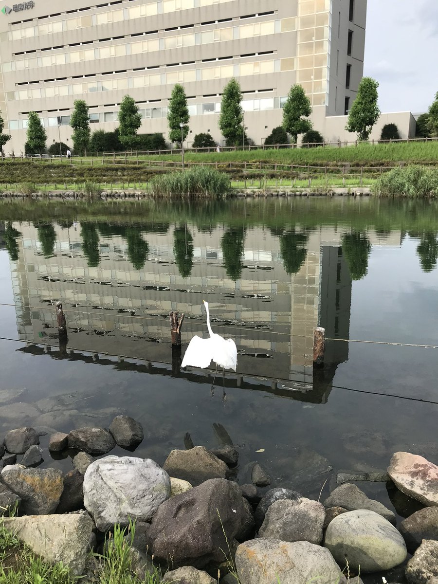 LostJedi_India's tweet photo. What's your favourite reflection shot?

#theme_pic_world_reflections https://t.co/5qjRFjegVM